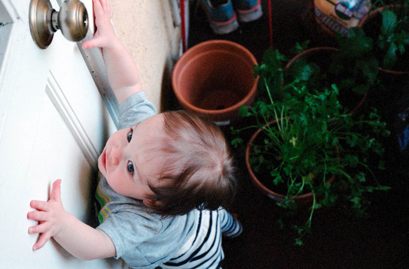 A baby standing up reaching for a door knob