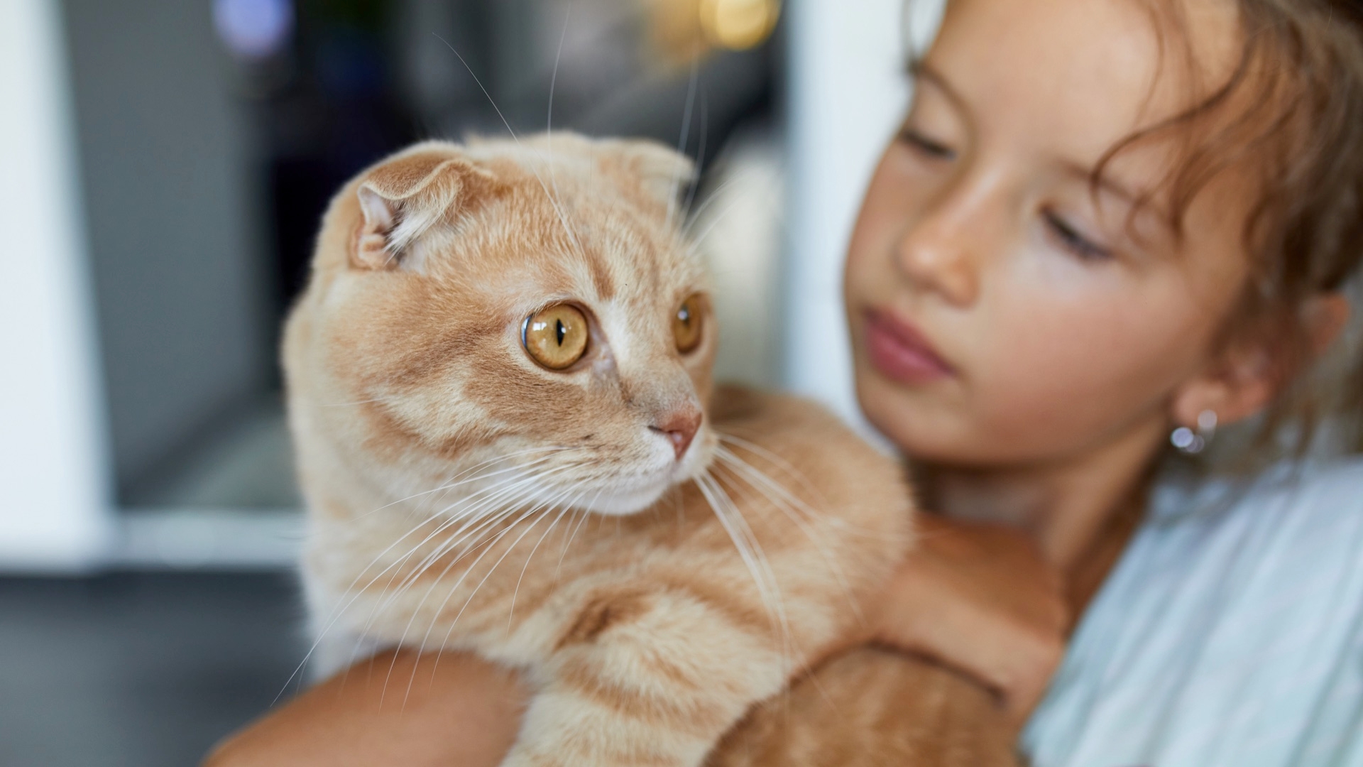 How To Keep Children Healthy Around Animals, Infants And Young Children