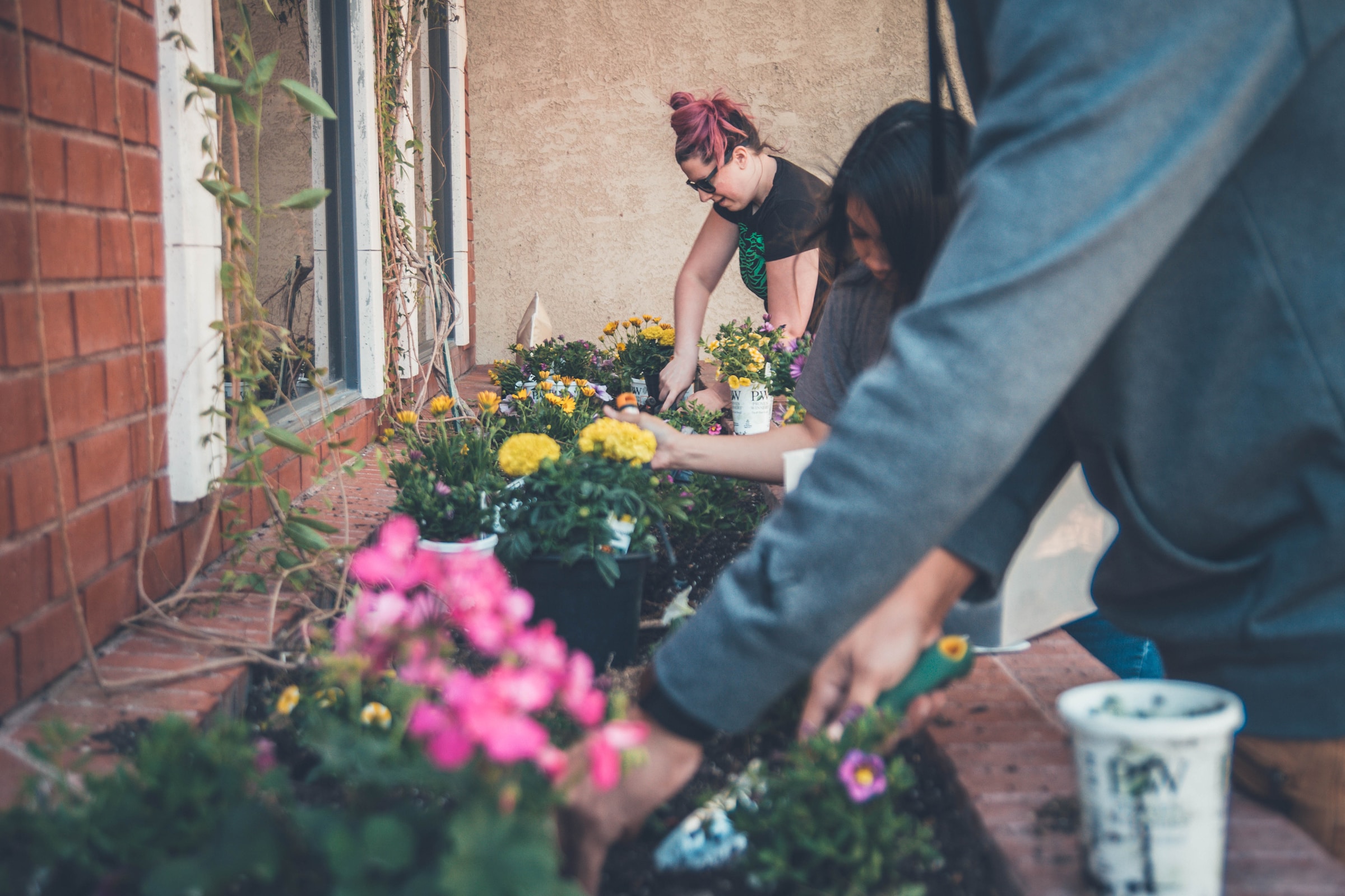 Image of community members planting a tree