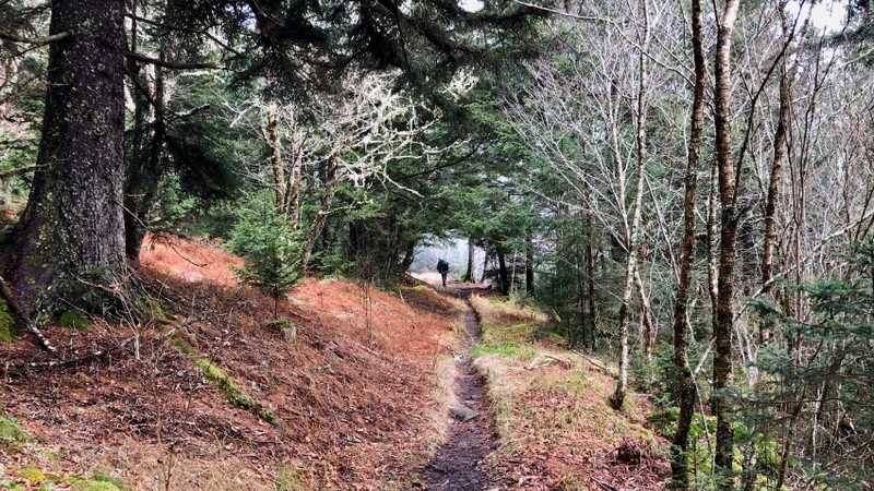 Mount Sterling Ridge Trail