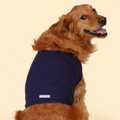 Vest for Dogs