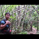 Laos Jungle 17