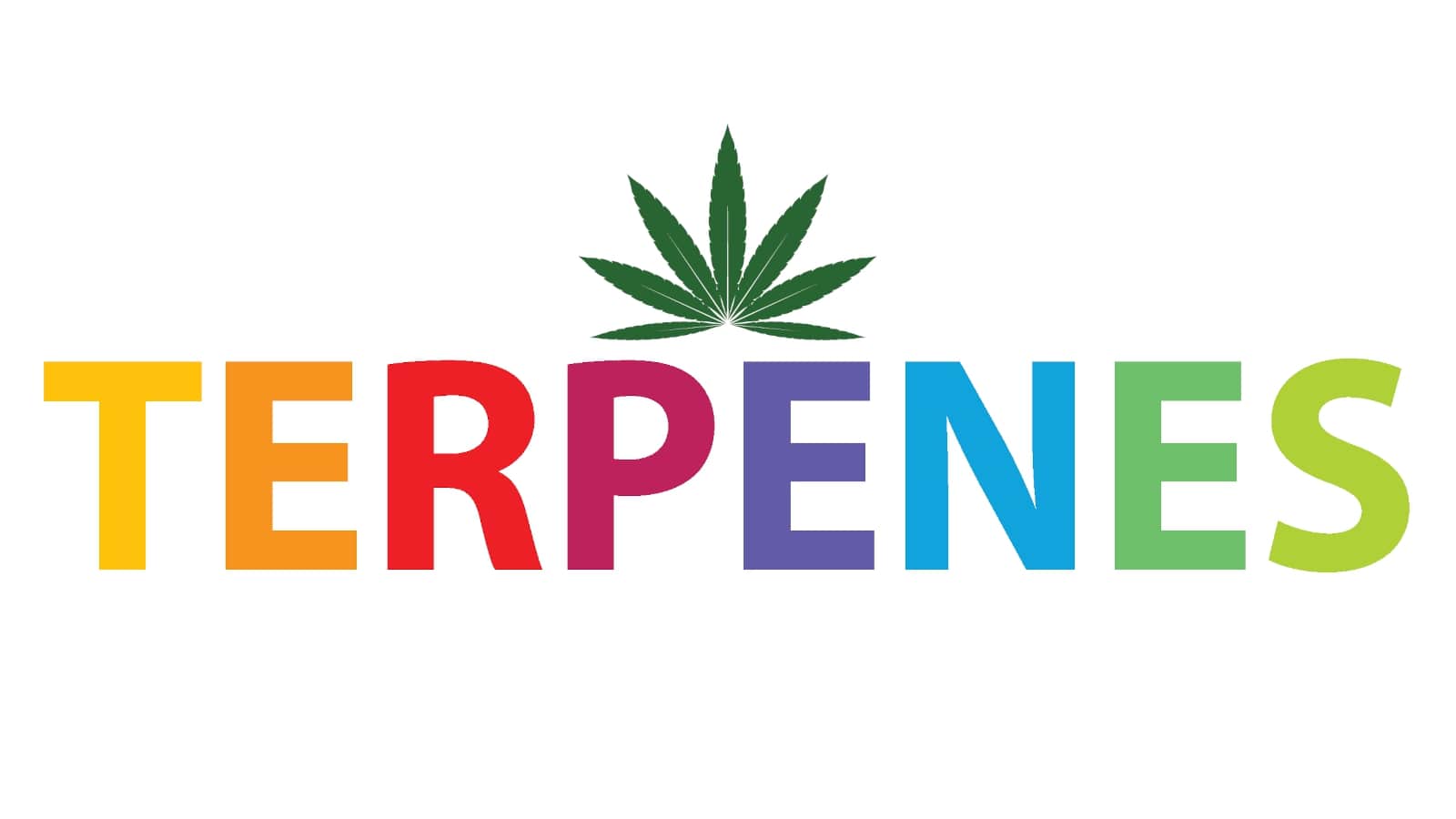 Cannabis Terpenes Australia Guide: Terpenes Meaning, Legal & Products