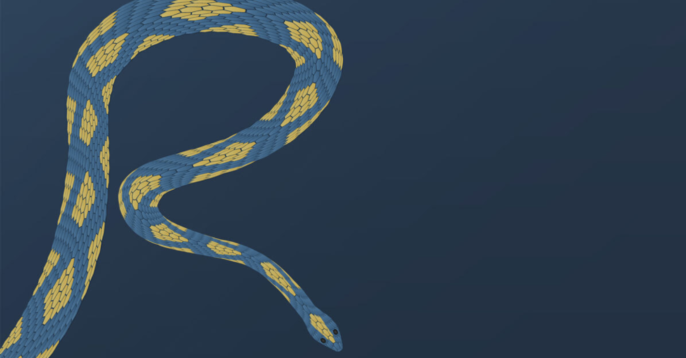 Thumbnail A python snake in the shape of an R