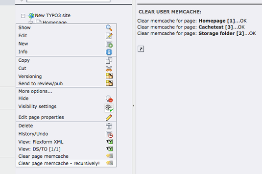 remove-memcache-TYPO3 remove-memcache-TYPO3