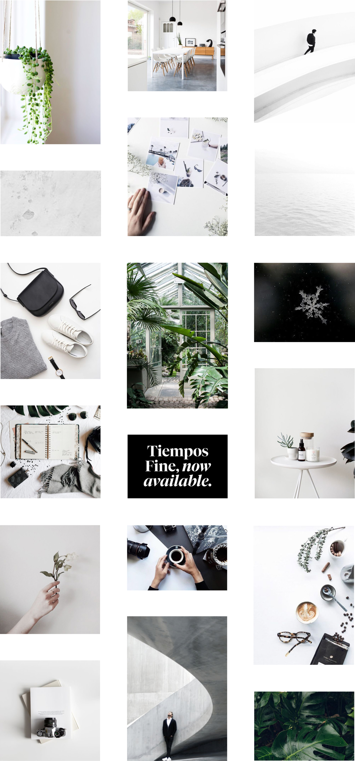Jack Watkins branding moodboards