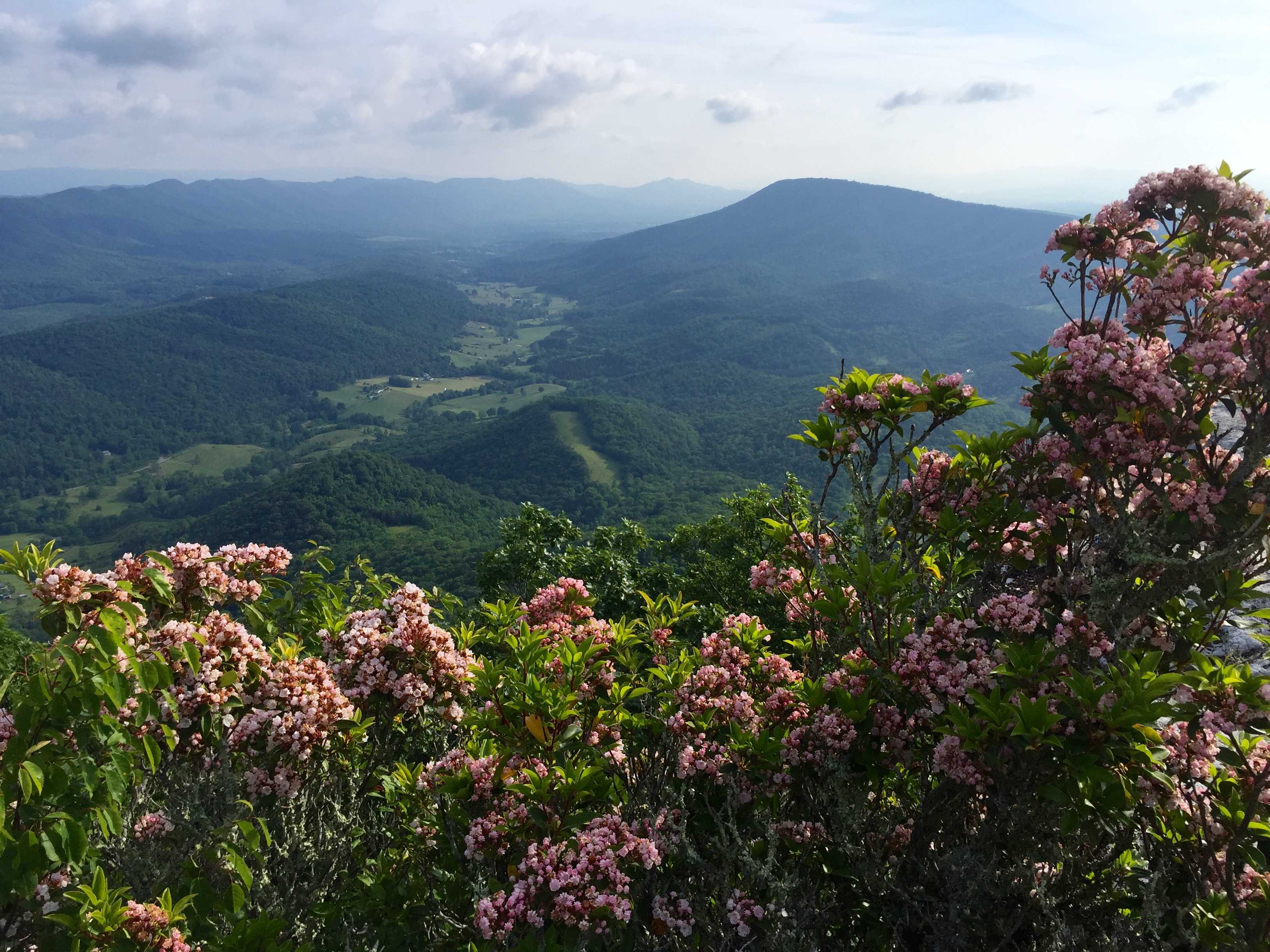 AT 2017 Day 57, Catawba Mountain Shelter to Daleville, Va. Hike with