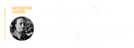 12 ans d'ecommerce, grandes entreprises et petites, 2 startups, j'ai appris de mes erreurs et j'aimerai consulter pour vous BanniĂšre pour la Formation SEO via Google Search Console par WebForGood.fr