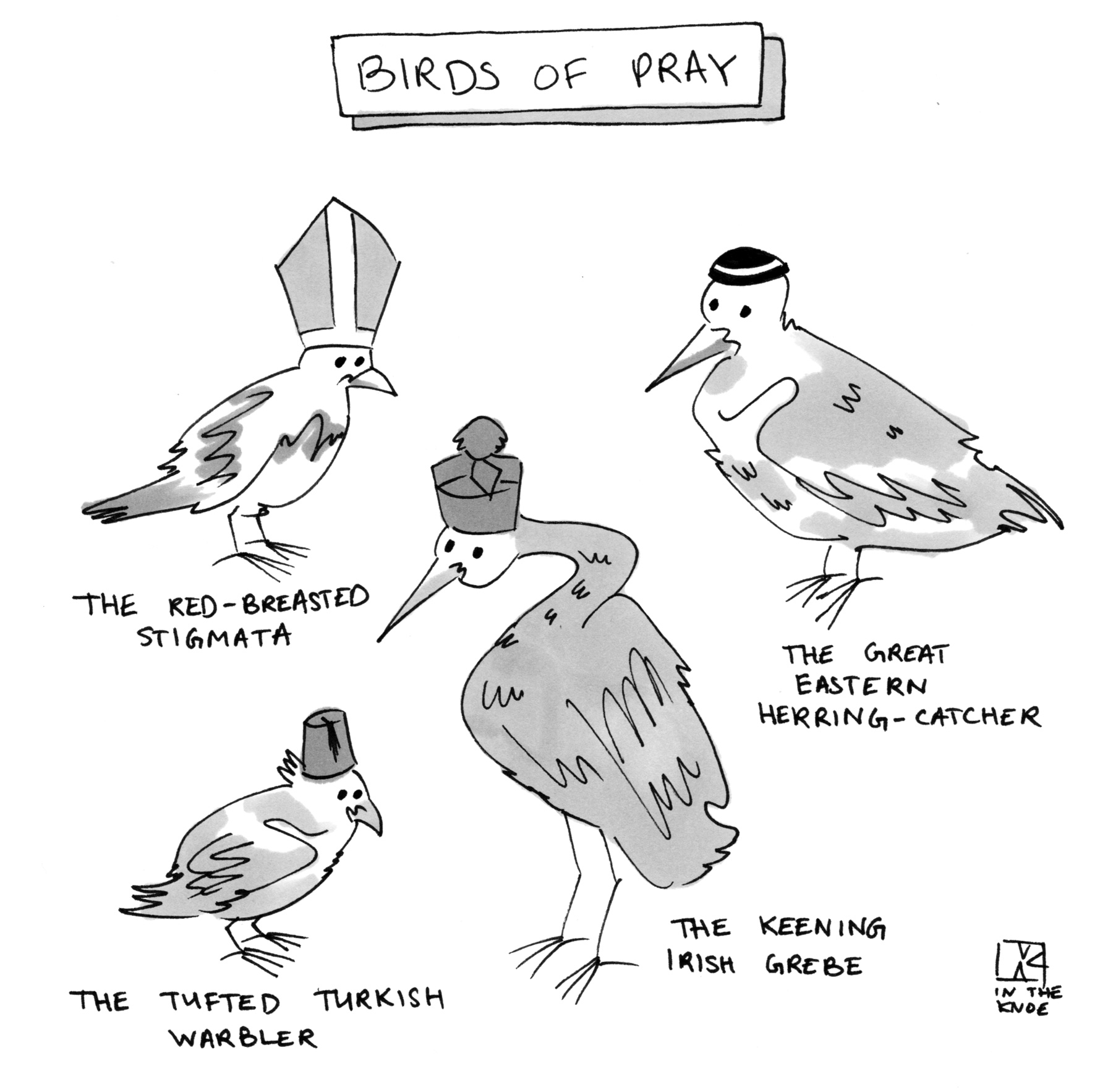 Birds of Pray: The Great Eastern Herring-Catcher, The Red-Breasted Stigmata, The Tufted Turkish Warbler, The Keening Irish Grebe