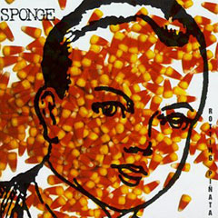 Sponge Rotting Piñata album cover