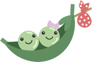 Happea Travels; a travel blog