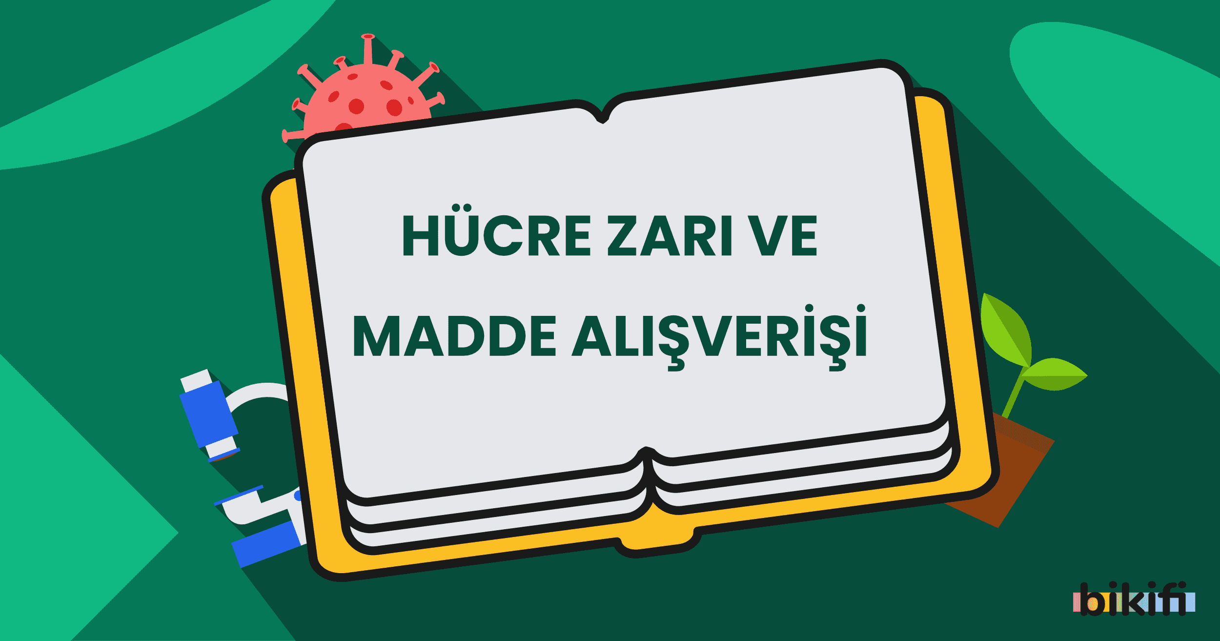 Hücre Zarı ve Madde Alışverişi