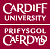 Professor of Translation Studies, Cardiff University