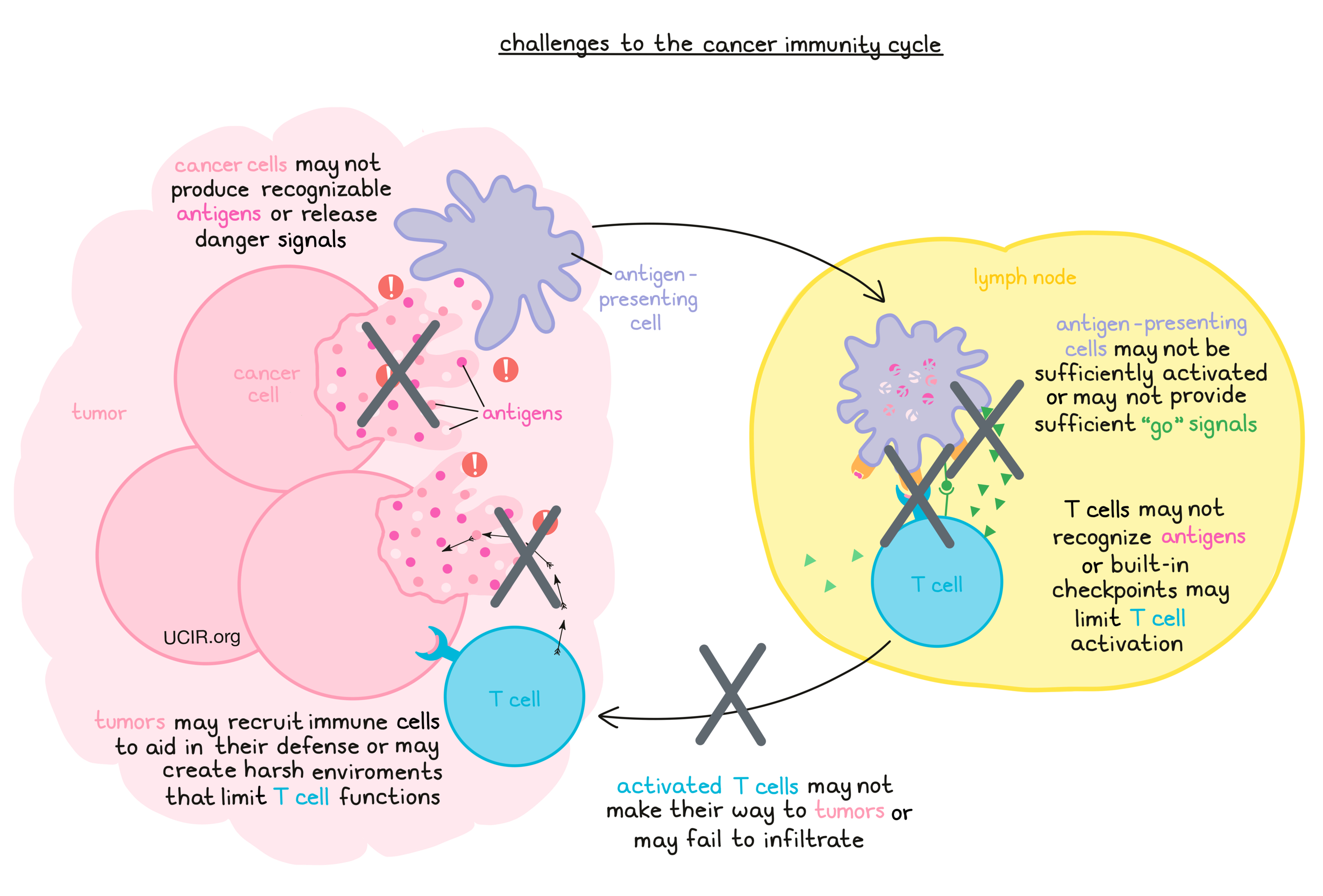 Challenges to the cancer immunity cycle