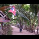 Laos Don Khon 6