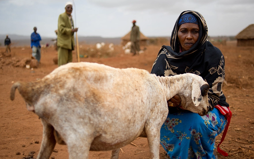 Sarah Kabale, an agro-pastoralist also growing maize, beans and sukuma, stands with one of her goats in near Marsabit in northern Kenya.