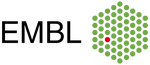 Morpheus Tutorial at EMBL
