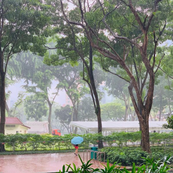 Sngapore Rain