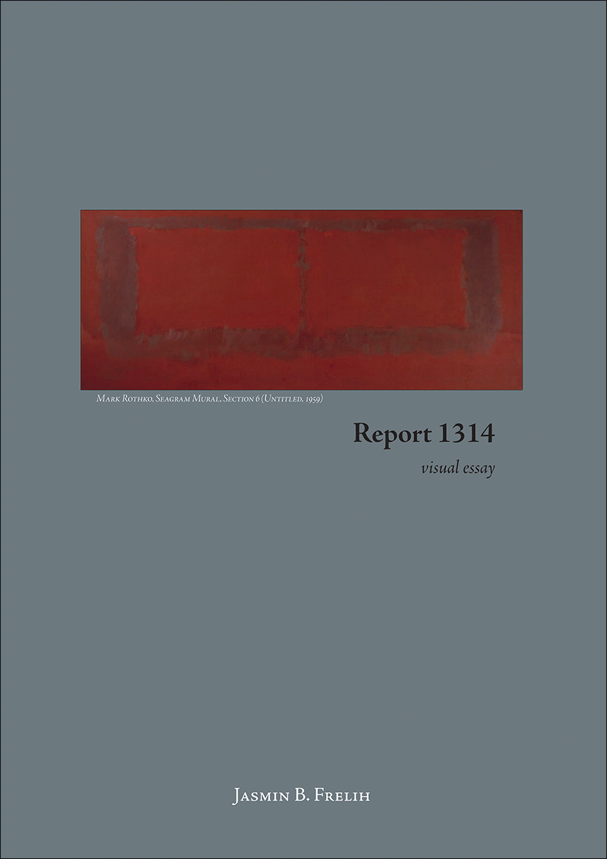 “Report 1314: a visual essay” Book Cover