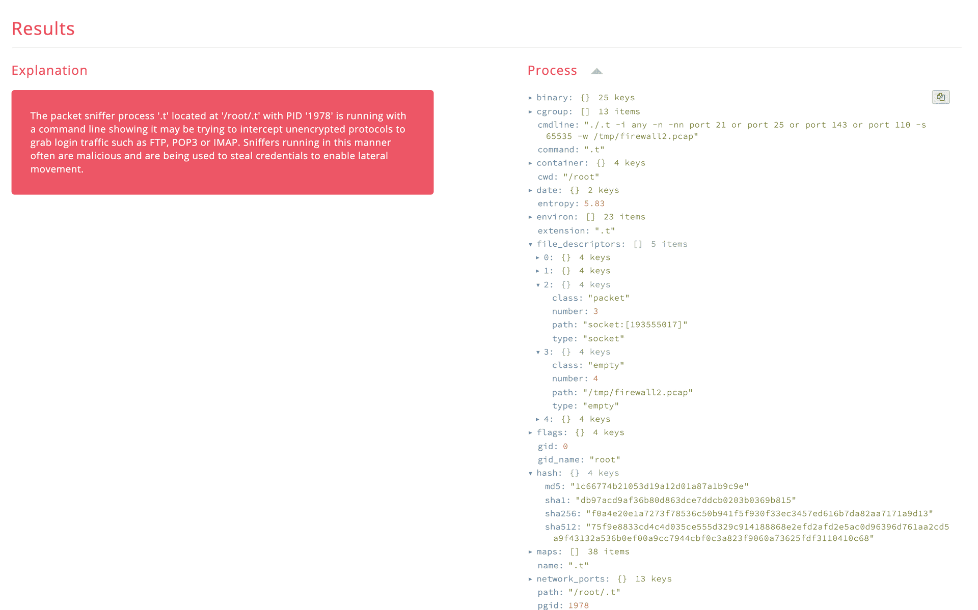 Packet process sniffer example