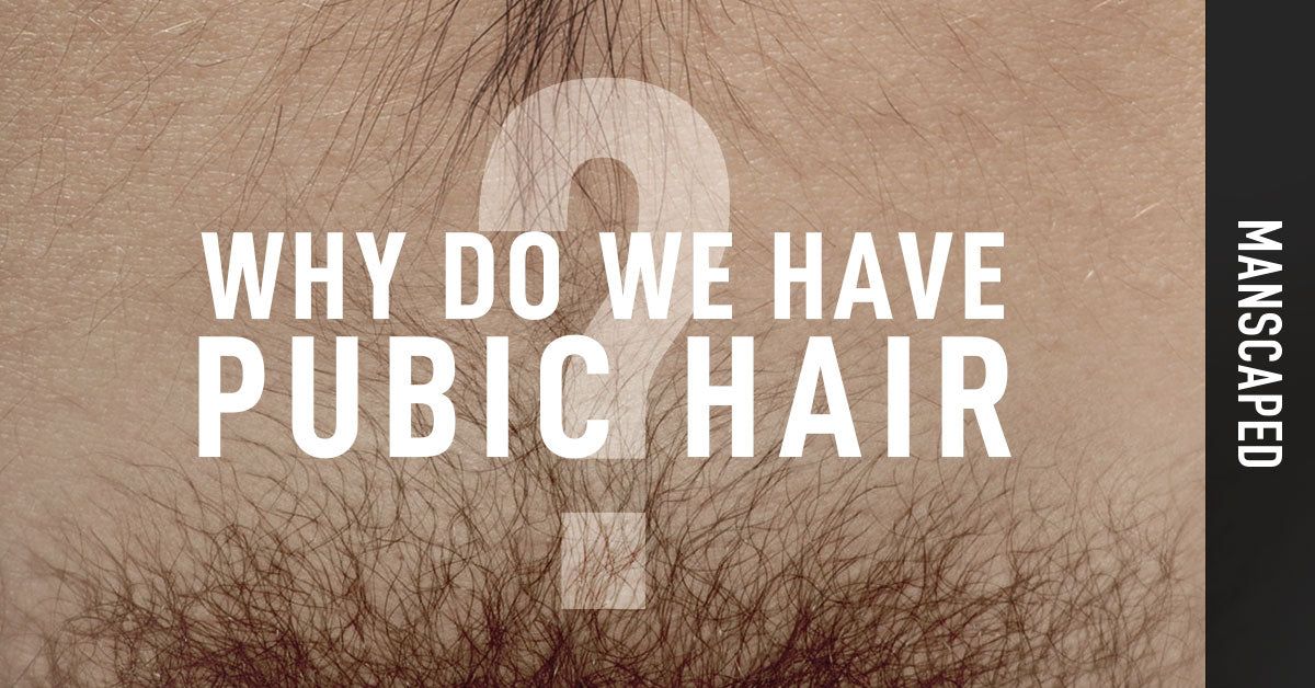 Why Do We Have Pubic Hair? | MANSCAPED™ Blog