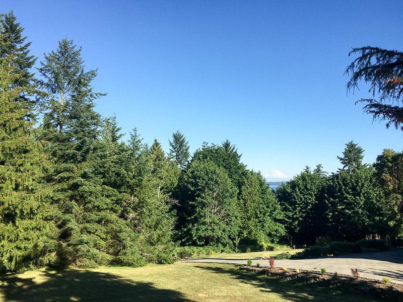 View of Mount Rainier from my patio. (iPhone capture, just before leaving)