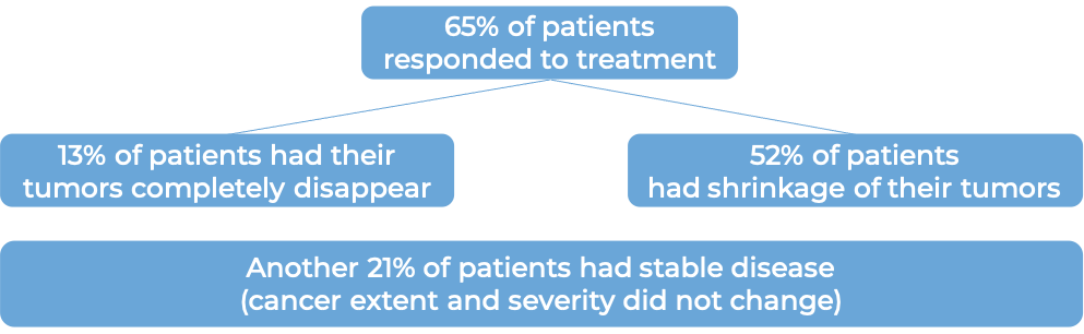 Results after treatment with Yervoy + nivolumab (diagram)