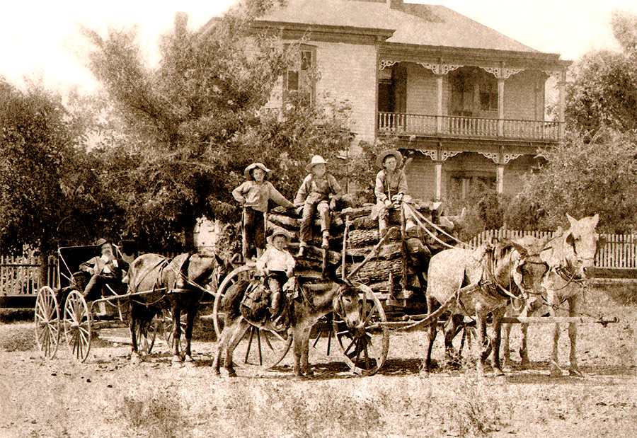 Tom (standing to the left) and his brothers, including Doc (on the donkey) and Dudley (far right).