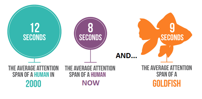 Human attention span