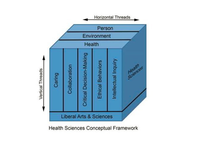 Visual Reference of Health Sciences conceptual framework