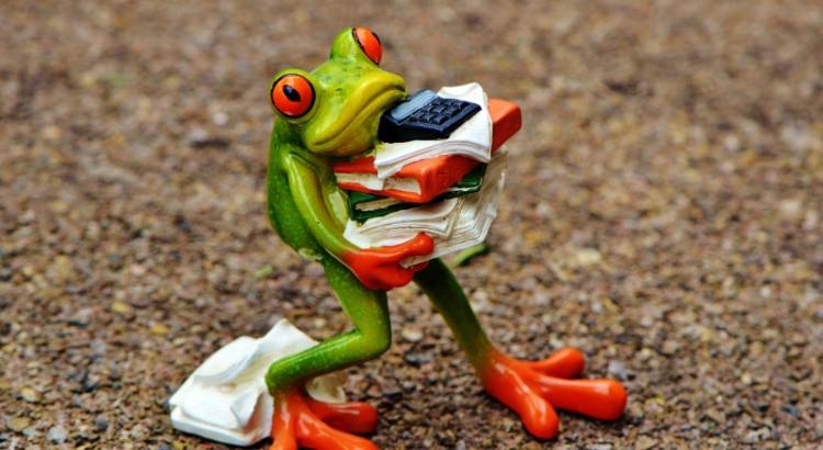 Frog Carrying Documents Moving documents from one place to another