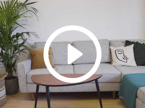 Home living room interior containing grey corner sofa next to green potted plant and wooden coffee table Skype background