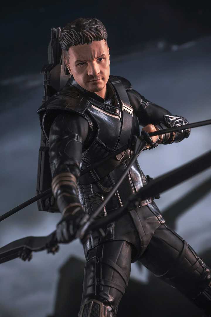 SHF Hawkeye & Ronin