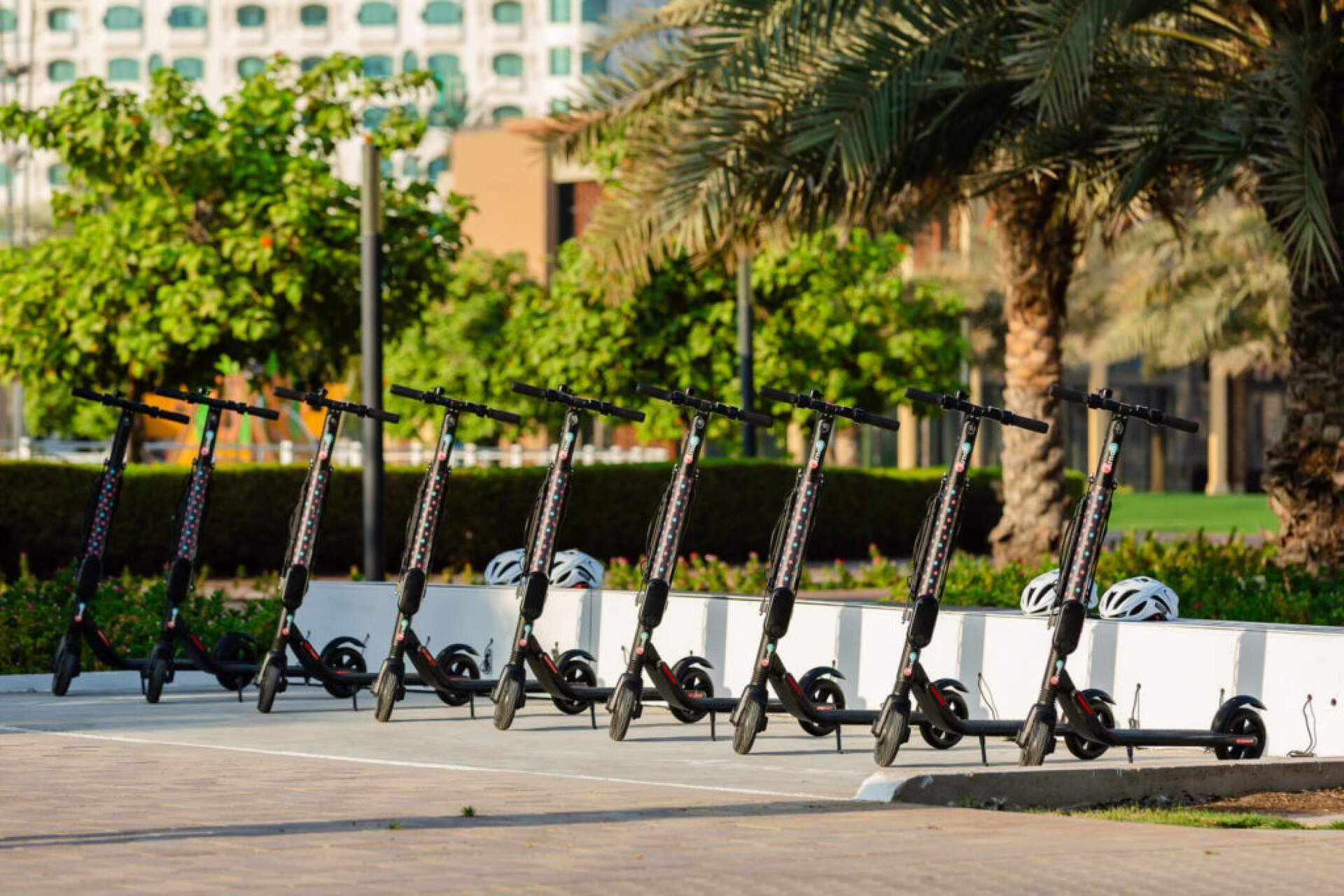 Several kick-scooters parked next to each other, surrounded by palm trees and bushy green leafed trees.