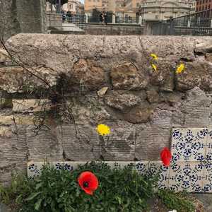 What's old collapses, times change, and new life blossoms in the ruins. -- Friedrich Schiller #placemaking #rome #details #colour #color