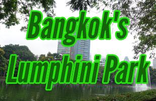 Exploring Bangkok's Lumpini Park and The Monitor Lizards