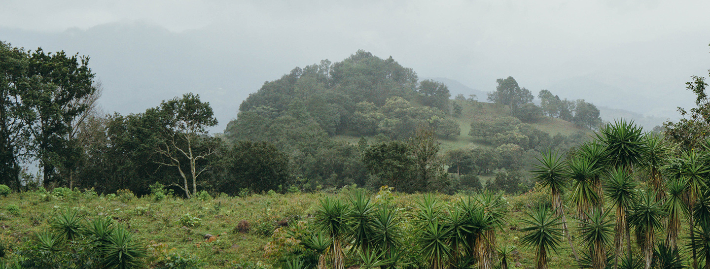 Honduras 3