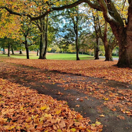 Burley Park Discover Leeds