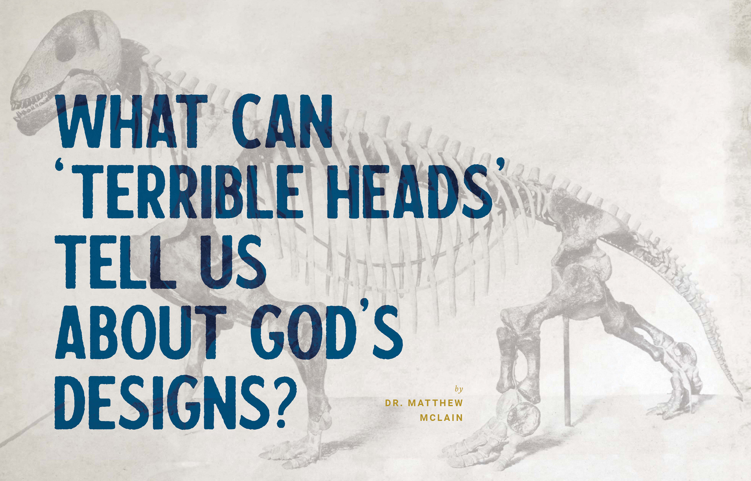 What Can 'Terrible Heads' Tell us About God's Designs? image