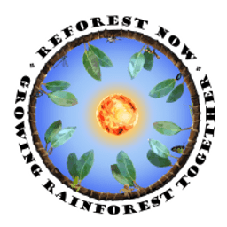 Reforest Now logo