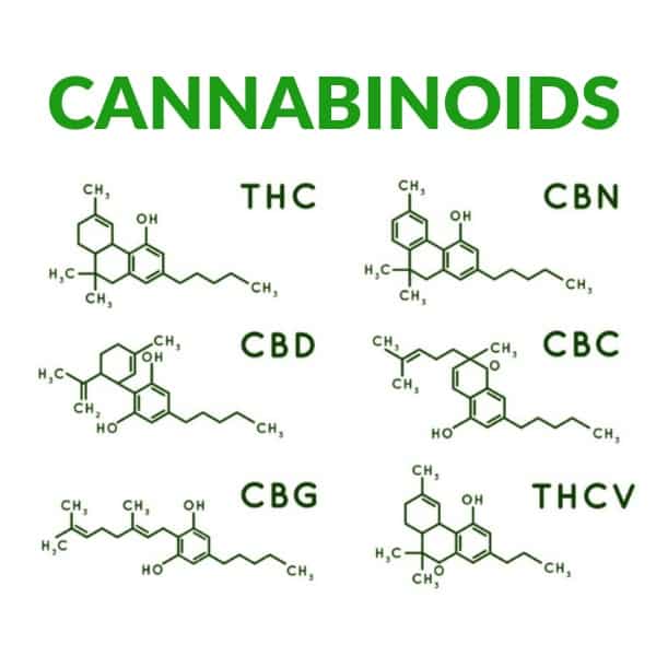 Learn About Cannabis In Australia