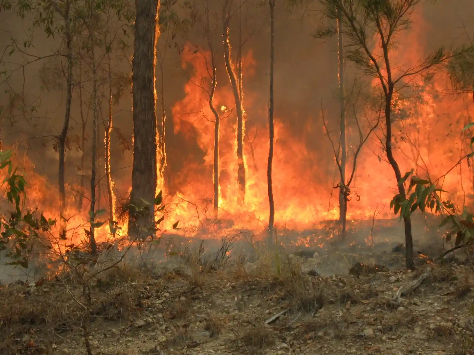 Bush_fire_at_Captain_Creek_central_Queensland_Australia.-2