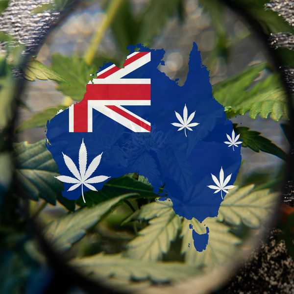 Learn About Cannabis in Australia