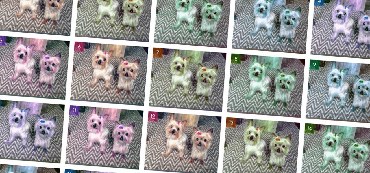 repeated grid of the same dog picture in different colors