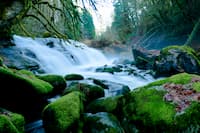 image from Lake Creek Falls, Oregon