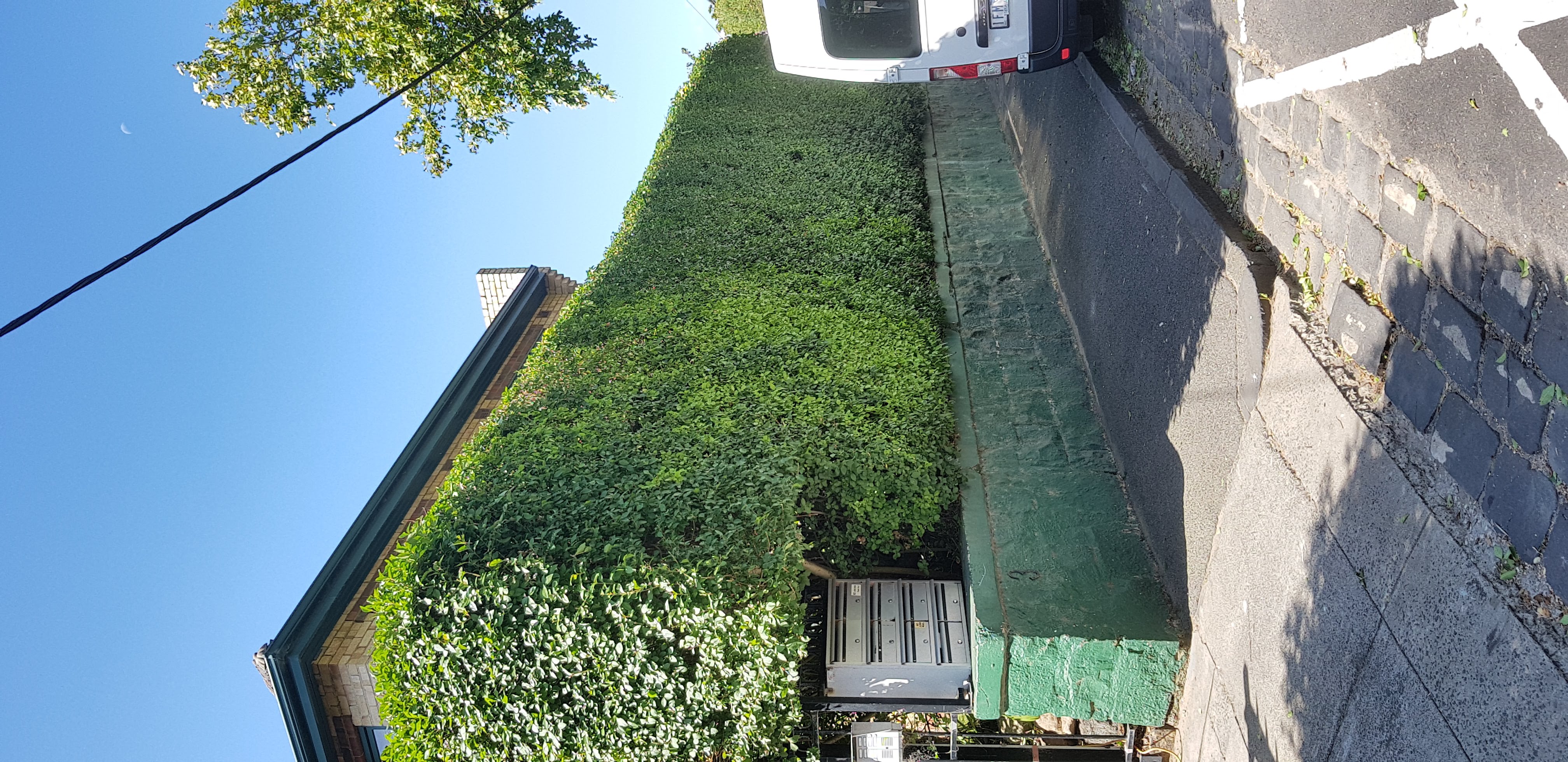 recent landscaping work image 3