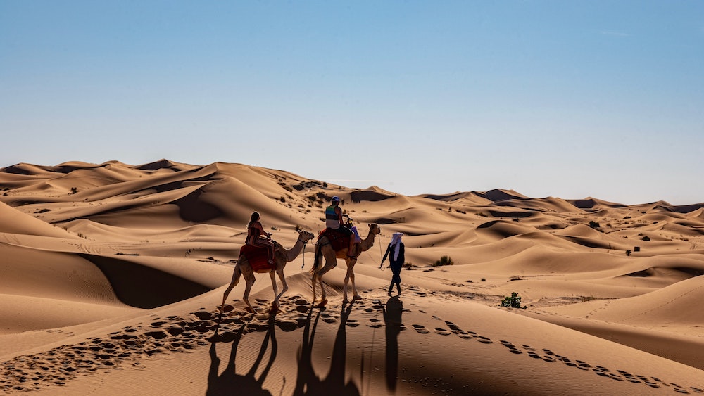 Trekking on a Camel