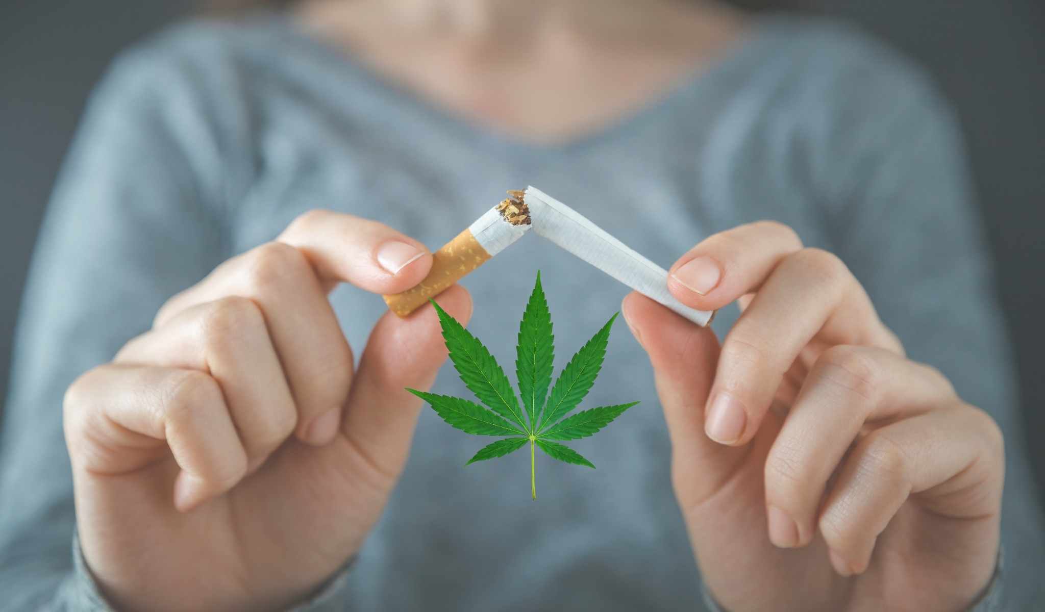 CBD Oil Stop Smoking: How Can CBD Oil Help Quit Tobacco Cigarettes?