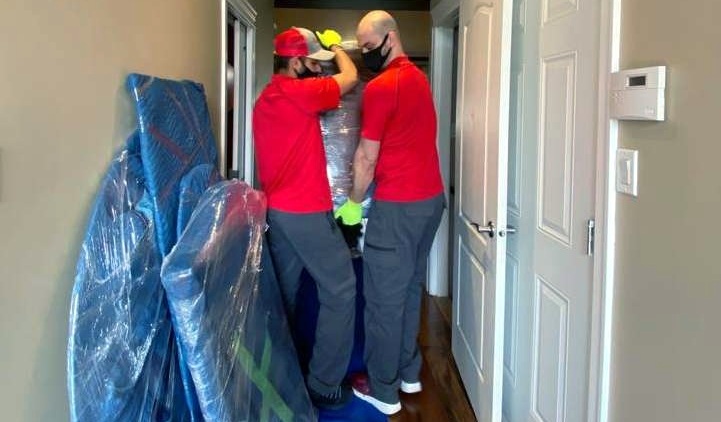 Moving team carrying furniture in hallway floor protection.