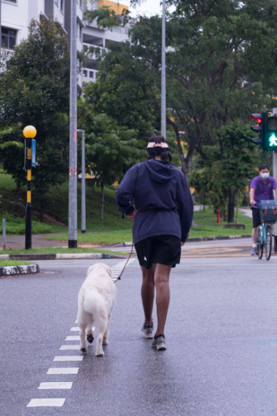 A girl in her workout hoodie crosses the traffic light with her white dog.